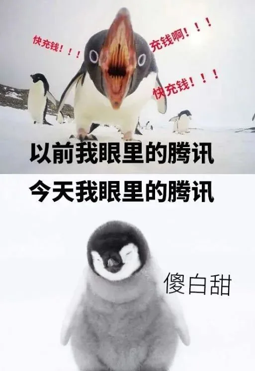 大反转：南山必胜客秒变傻白甜，Python告诉你网友说什么