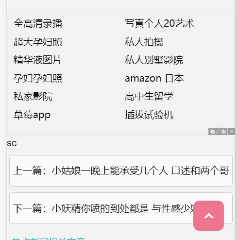 【慎点】黑帽seo技术之内容、导流、PV提升技巧（是真的黑）