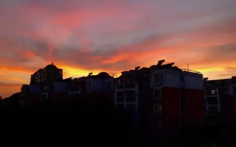 优化师个人做代运营可以吗？我有这几点想分享一下