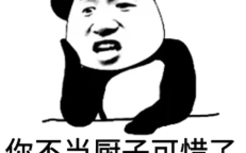 优化经理日记泄露，升职历经磨难！